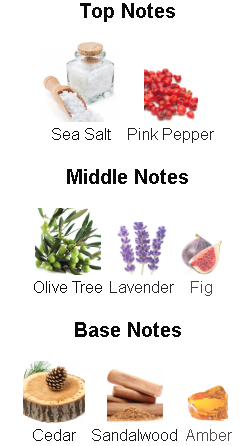 Orabella Salted Muse