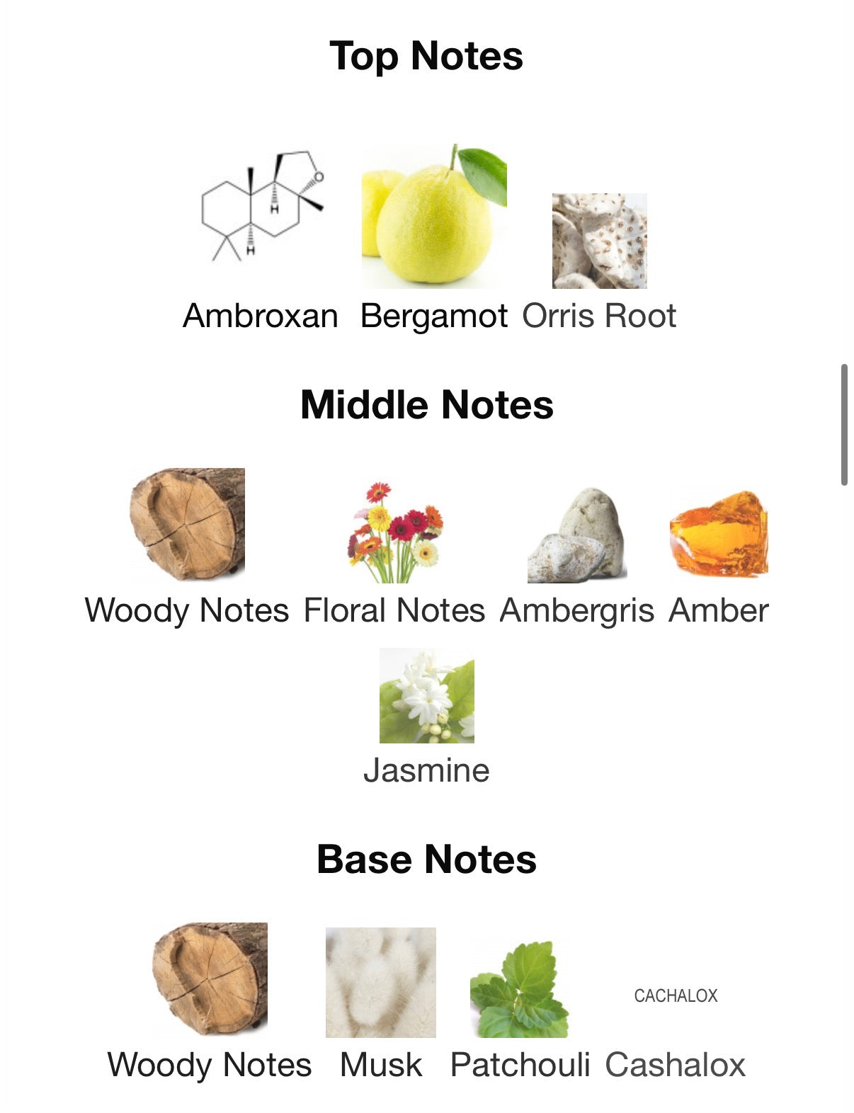 FRAGRANCE ONE OFFICE PRE ORDER